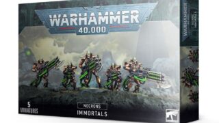 ウォーハンマー　ネクロン　イモータル5体セット塗装済み。ケース付き。 KillTeamでもOK】ウォーハンマー40K：ネクロン：イモータル