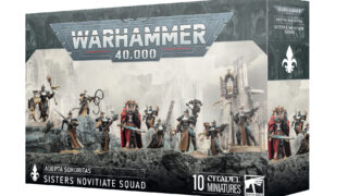 アデプタ・ソロリタス】ノヴィシエイト・スカッド | ウォー